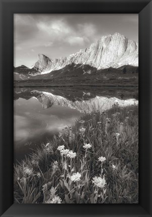 Framed Pronghorn and Dragon Head Peaks BW Print