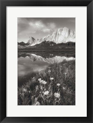 Framed Pronghorn and Dragon Head Peaks BW Print