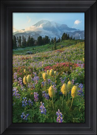 Framed Paradise Wildflower Meadows II Print