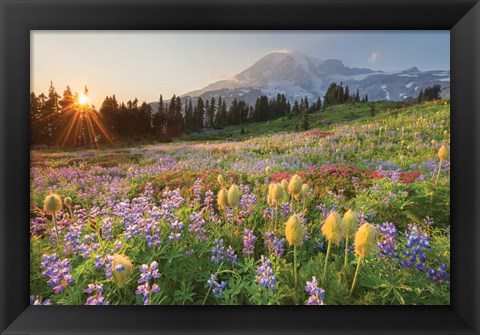 Framed Paradise Wildflower Meadows I Print