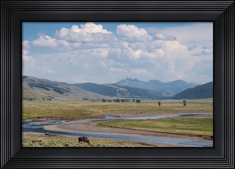 Framed Lamar Valley Bison Print