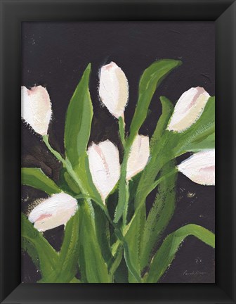 Framed White Tulips on Black (1) Print