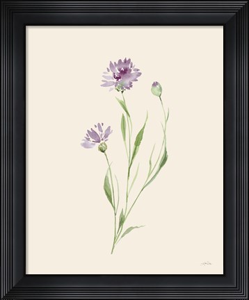 Framed Wild Blooms II Print