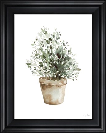 Framed Potted Herbs Print