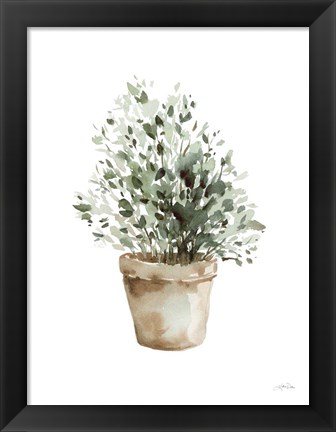 Framed Potted Herbs Print