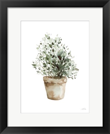 Framed Potted Herbs Print