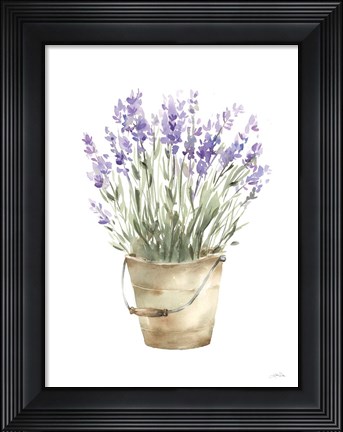 Framed Potted Lavender Print