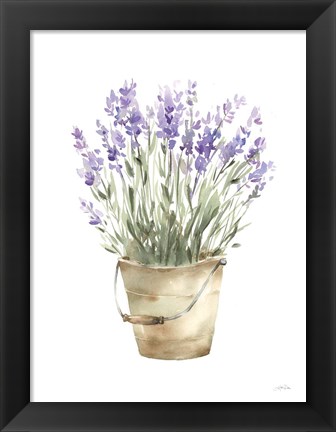 Framed Potted Lavender Print