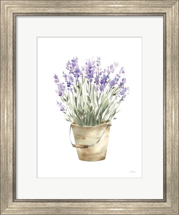 Framed Potted Lavender Print
