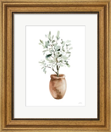 Framed Potted Olive Tree Print