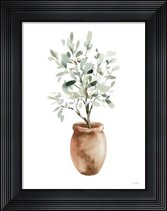 Framed Potted Olive Tree Print