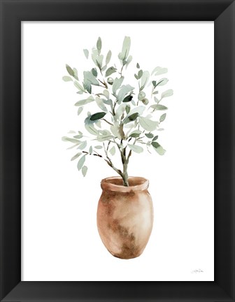 Framed Potted Olive Tree Print