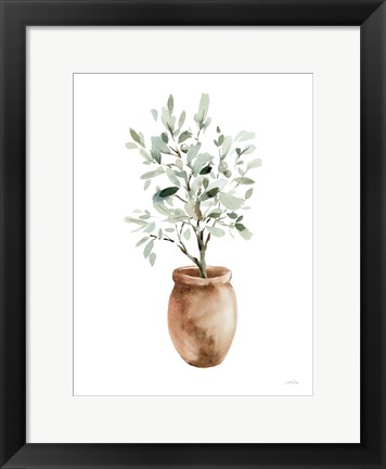 Framed Potted Olive Tree Print