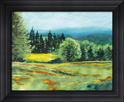 Framed Pocket Meadow Print