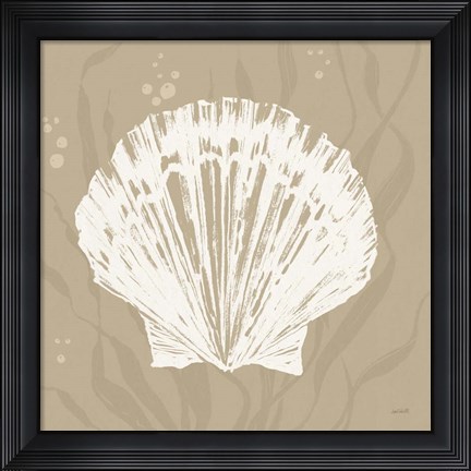 Framed Seaside Style XV Shell Print