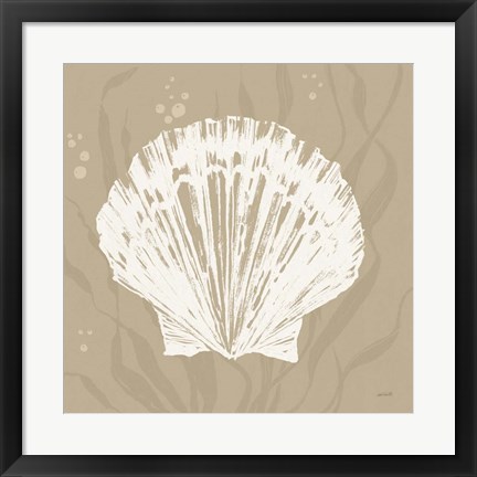 Framed Seaside Style XV Shell Print