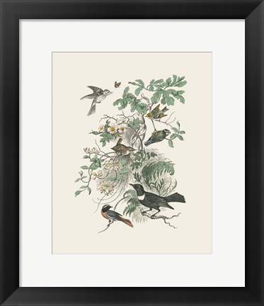 Framed Honeybloom Bird II Print