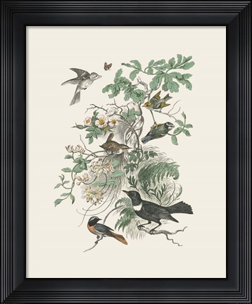 Framed Honeybloom Bird II Print