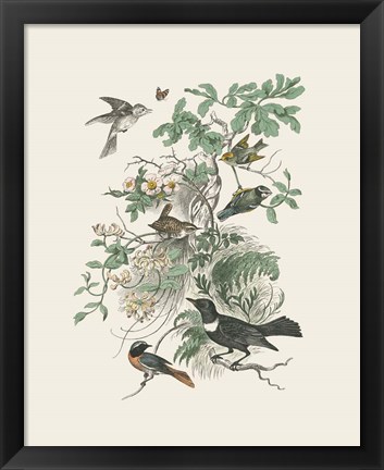 Framed Honeybloom Bird II Print