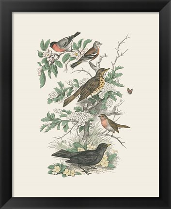 Framed Honeybloom Bird I Print