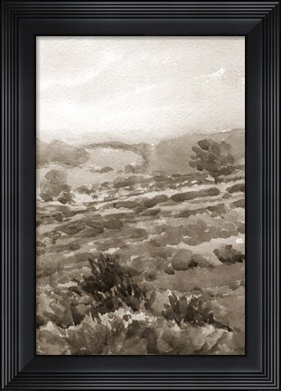 Framed Field of Flowers III Sepia Print