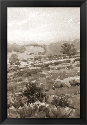 Framed Field of Flowers III Sepia Print