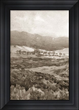 Framed Field of Flowers II Sepia Print