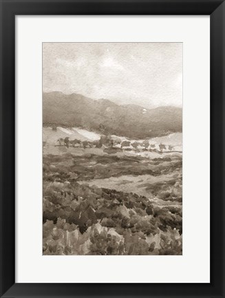 Framed Field of Flowers II Sepia Print