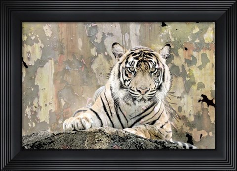 Framed Tiger Love Print