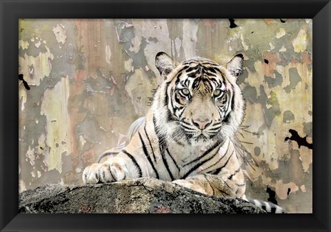 Framed Tiger Love Print