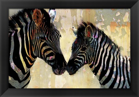 Framed Zebra Love Print