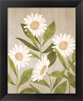 Framed Daisies 1 Print