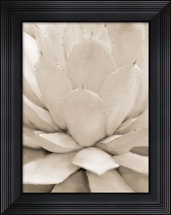 Framed Agave Neutral 1 Print