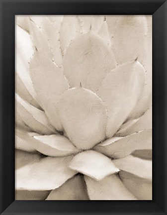 Framed Agave Neutral 1 Print