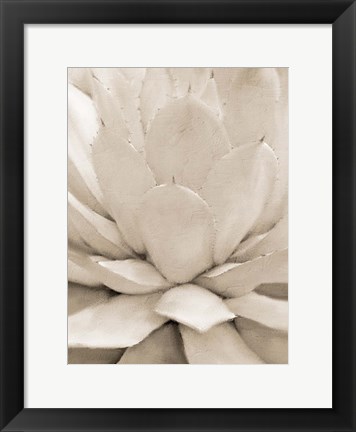 Framed Agave Neutral 1 Print