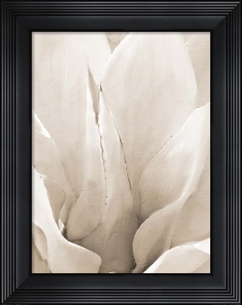 Framed Agave Neutral 2 Print