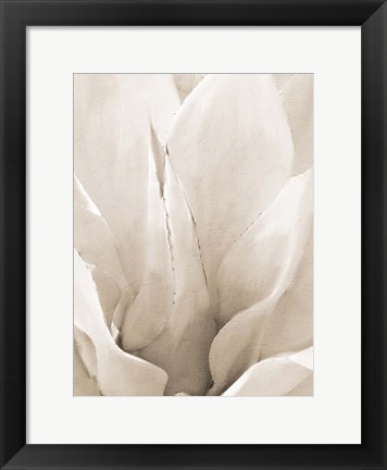 Framed Agave Neutral 2 Print