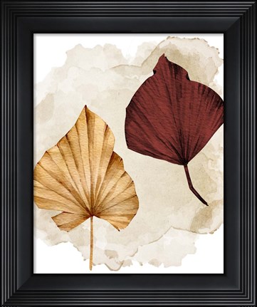 Framed Fan 1 Print