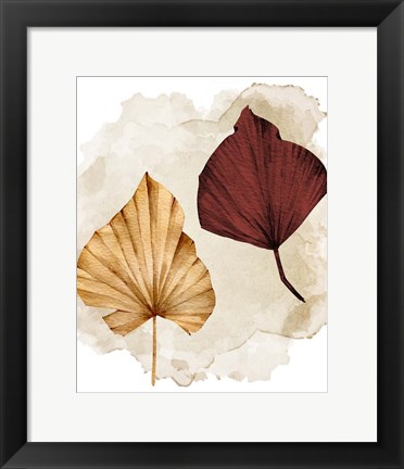 Framed Fan 1 Print