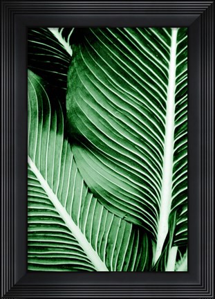 Framed Tropical 1 Print