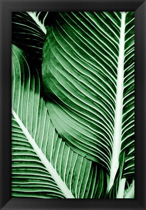 Framed Tropical 1 Print