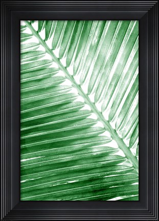 Framed Tropical 2 Print