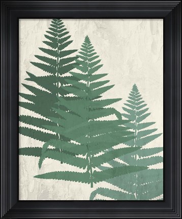 Framed Fern 2 Greens Print