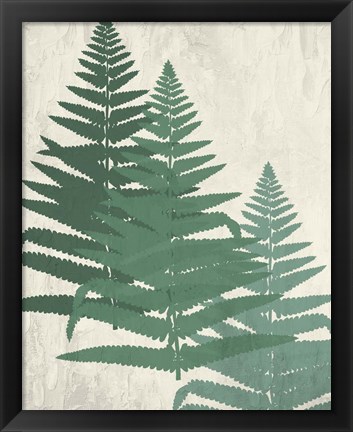 Framed Fern 2 Greens Print