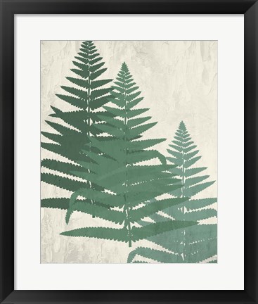 Framed Fern 2 Greens Print