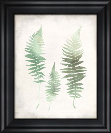 Framed Watercolor Fern 1 Vintage Print