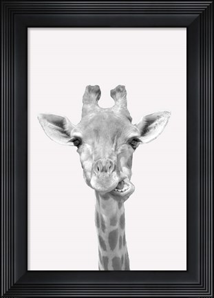 Framed Quirky Giraffes 2 Print