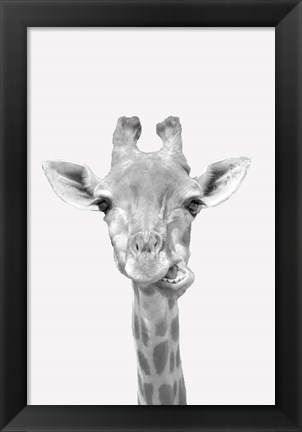 Framed Quirky Giraffes 2 Print