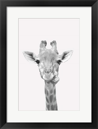 Framed Quirky Giraffes 2 Print