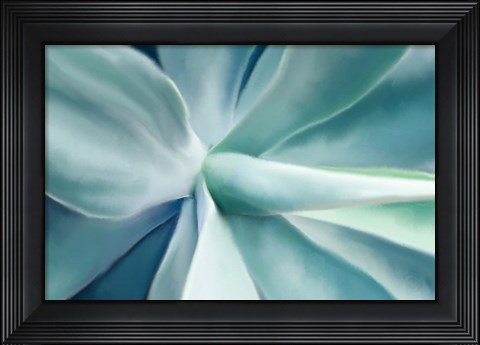Framed Agave Print